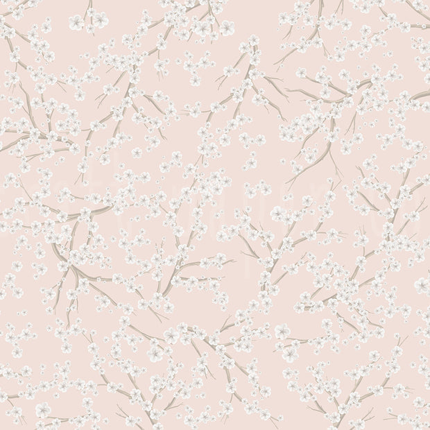 Blossom Duvar Kağıdı; pudra pembe fonda beyaz kiraz çiçekli kahverengi dallar, tekrarlı desen | Craft Paper Co