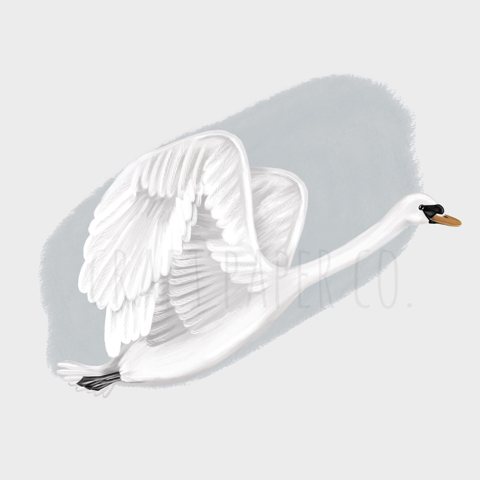 Kuğu Çocuk Odası Duvar Sticker — El çizimi çocuk odası duvar sticker | Craft Paper Co