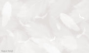 Melek Kanadı Tüyleri Duvar Kağıdı — Kağıt (Grej) renk seçeneği, el çizimi tüy deseni, bebek ve çocuk odası | Craft Paper Co