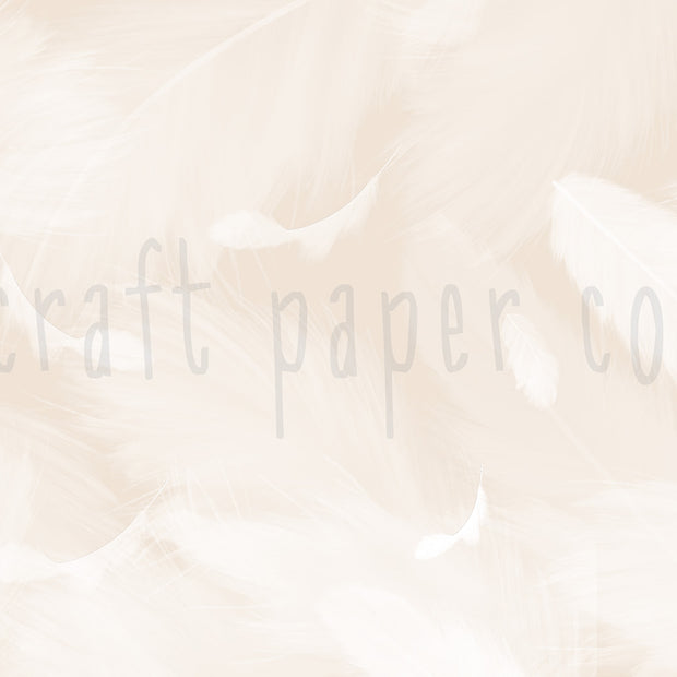 Melek Kanadı Tüyleri Pudra Duvar Kağıdı; el çizimi tasarımın filigranlı düz görünümü | Craft Paper Co
