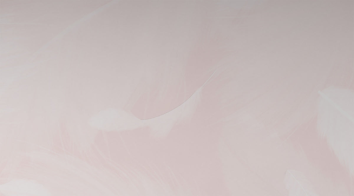 Melek Kanadı Tüyleri Vanilla Pink Duvar Kağıdı; beyaza yakın pembe fonda beyaz tüylerin yakın görünümü | Craft Paper Co