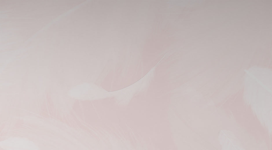 Melek Kanadı Tüyleri Vanilla Pink Duvar Kağıdı; beyaza yakın pembe fonda beyaz tüylerin yakın görünümü | Craft Paper Co